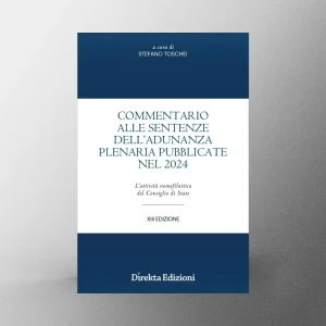 Commentario alle Sentenze dell’Adunanza Plenaria pubblicate nel 2024